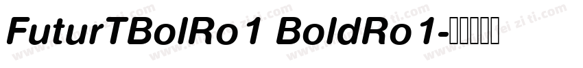 FuturTBolRo1 BoldRo1字体转换